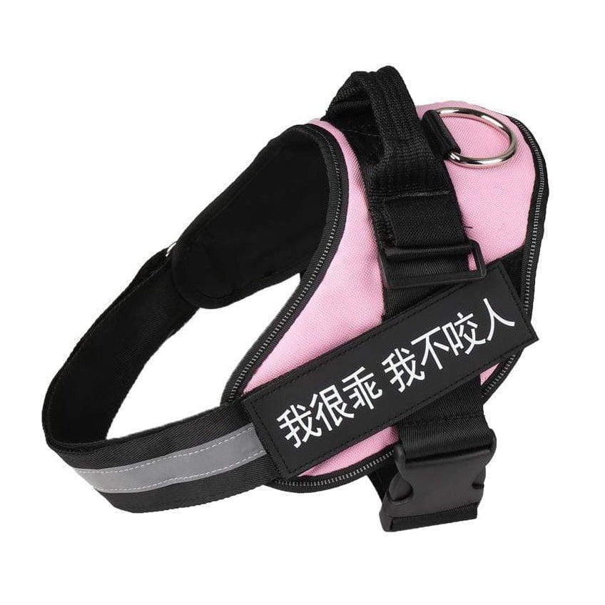 whatagift.com.au dog harness Personalized Custom Dog Harness | Dog Collar Name Safe Dog Harness