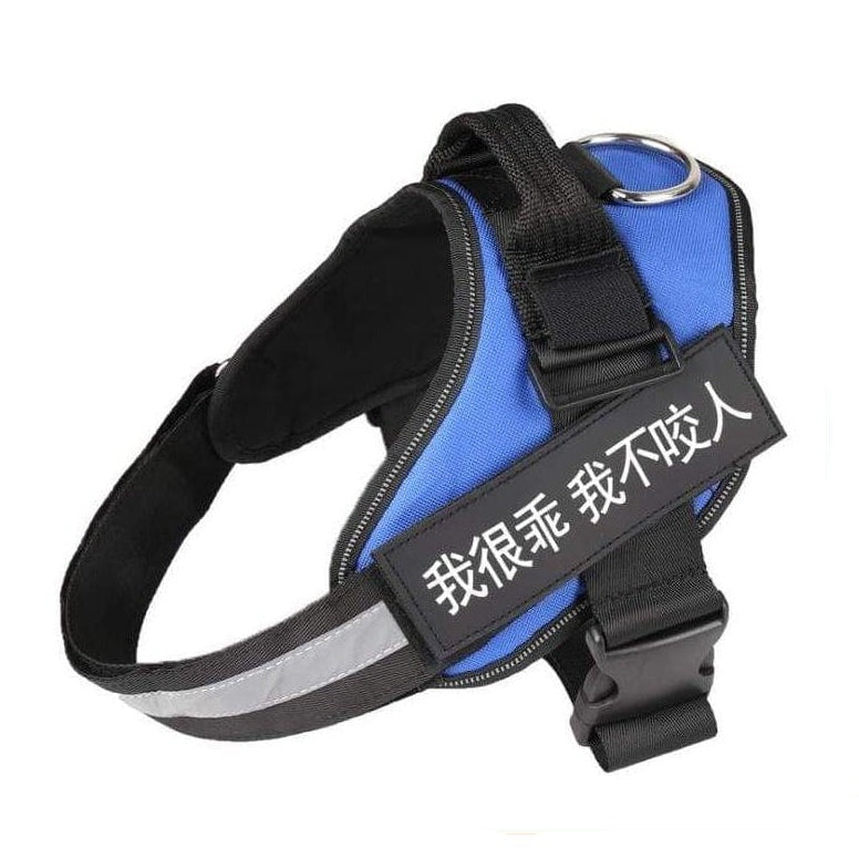 whatagift.com.au dog harness Personalized Custom Dog Harness | Dog Collar Name Safe Dog Harness