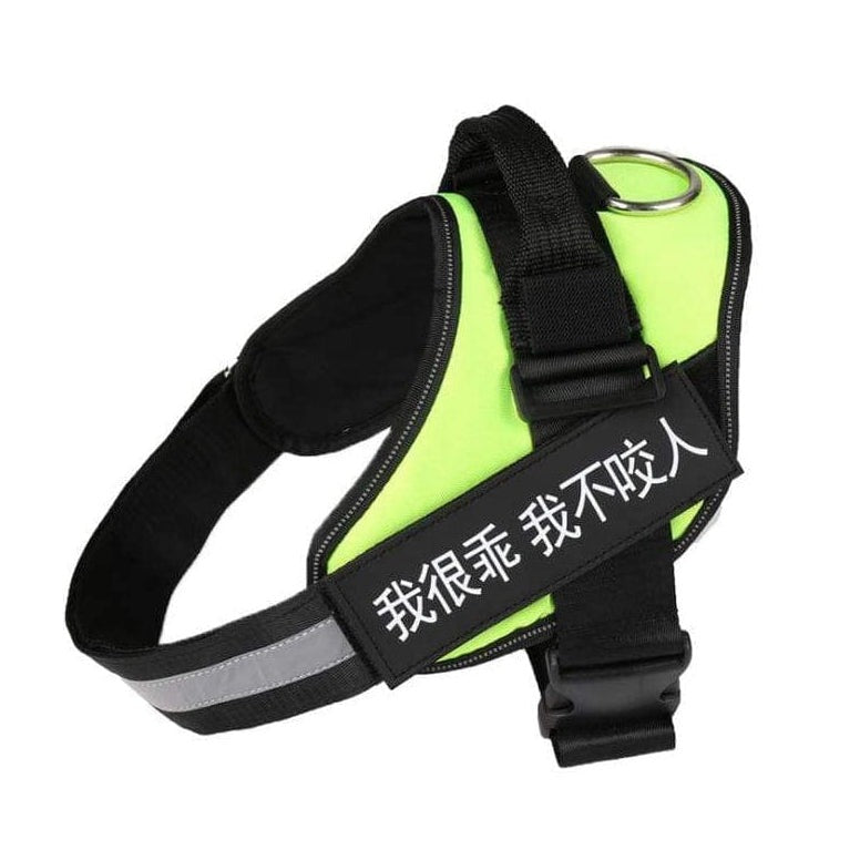 whatagift.com.au dog harness Personalized Custom Dog Harness | Dog Collar Name Safe Dog Harness