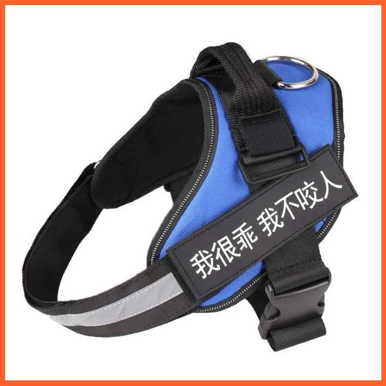 Personalised Custom Dog Harness | Dog Collar Name Safe Dog Harness | whatagift.com.au.