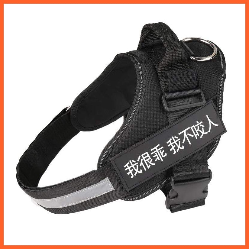 Personalised Custom Dog Harness | Dog Collar Name Safe Dog Harness | whatagift.com.au.