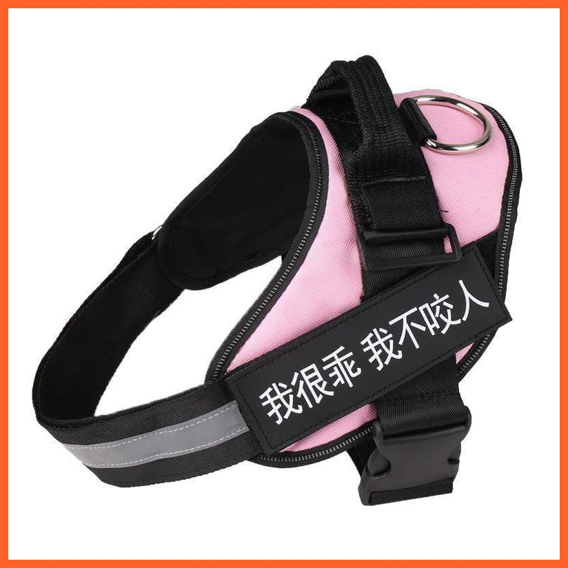 Personalised Custom Dog Harness | Dog Collar Name Safe Dog Harness | whatagift.com.au.