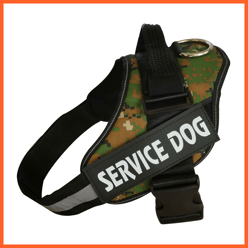 Personalised Custom Dog Harness | Dog Collar Name Safe Dog Harness | whatagift.com.au.