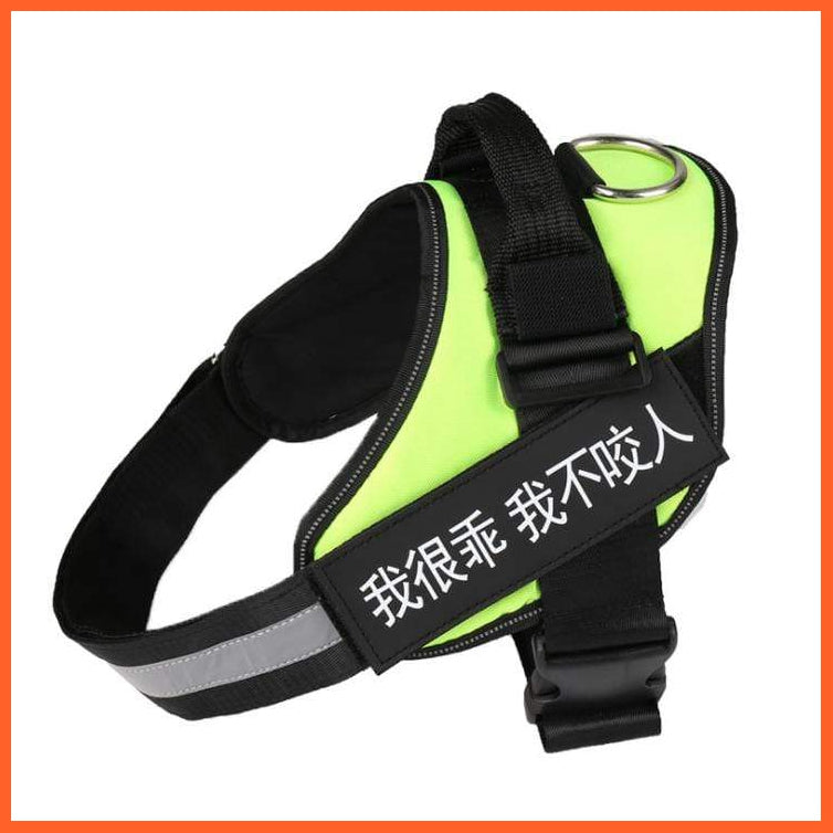 Personalised Custom Dog Harness | Dog Collar Name Safe Dog Harness | whatagift.com.au.