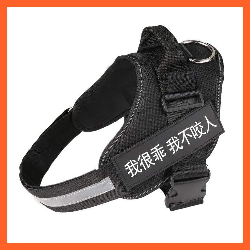 whatagift.com.au dog harness XXS / Black Personalised Custom Dog Harness | Dog Collar Name Safe Dog Harness