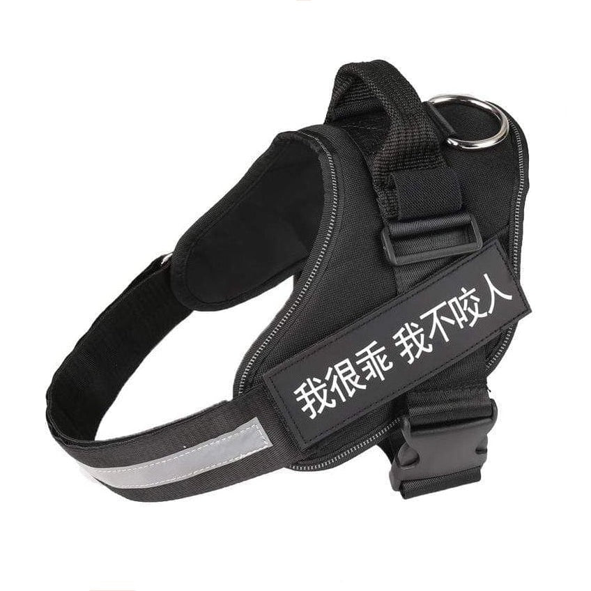 whatagift.com.au dog harness XXS / Black Personalized Custom Dog Harness | Dog Collar Name Safe Dog Harness
