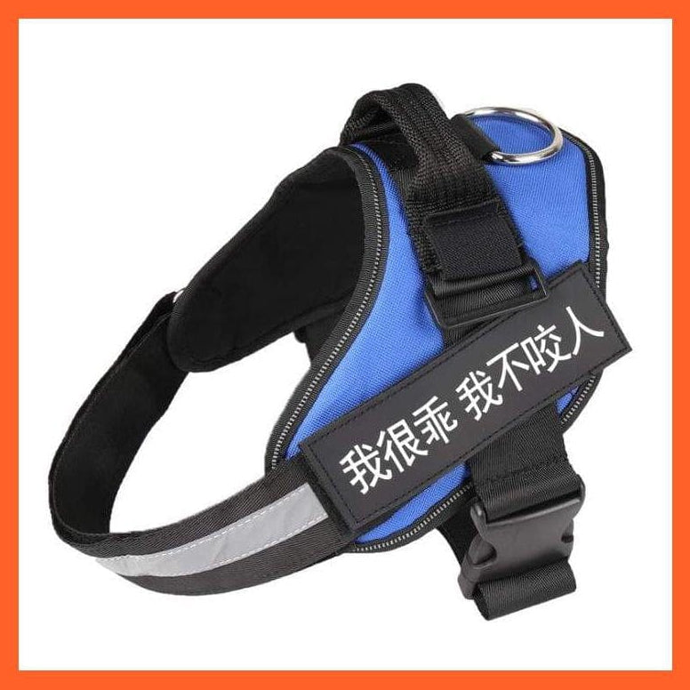 whatagift.com.au dog harness XXS / Blue Personalised Custom Dog Harness | Dog Collar Name Safe Dog Harness