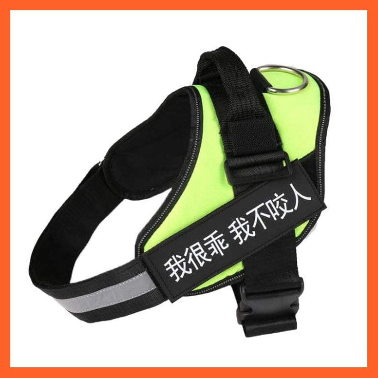 whatagift.com.au dog harness XXS / Green Personalised Custom Dog Harness | Dog Collar Name Safe Dog Harness