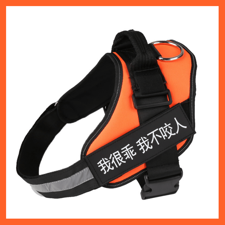 whatagift.com.au dog harness XXS / Orange Personalised Custom Dog Harness | Dog Collar Name Safe Dog Harness