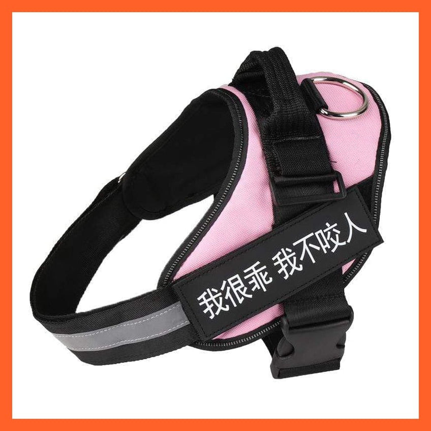 whatagift.com.au dog harness XXS / Pink Personalized Custom Dog Harness | Dog Collar Name Safe Dog Harness