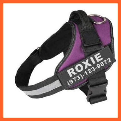 whatagift.com.au dog harness XXS / Purple Personalised Custom Dog Harness | Dog Collar Name Safe Dog Harness