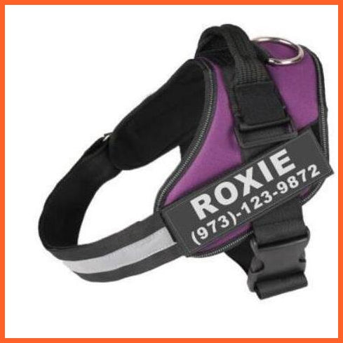 Personalised Custom Dog Harness | Dog Collar Name Safe Dog Harness | whatagift.com.au.