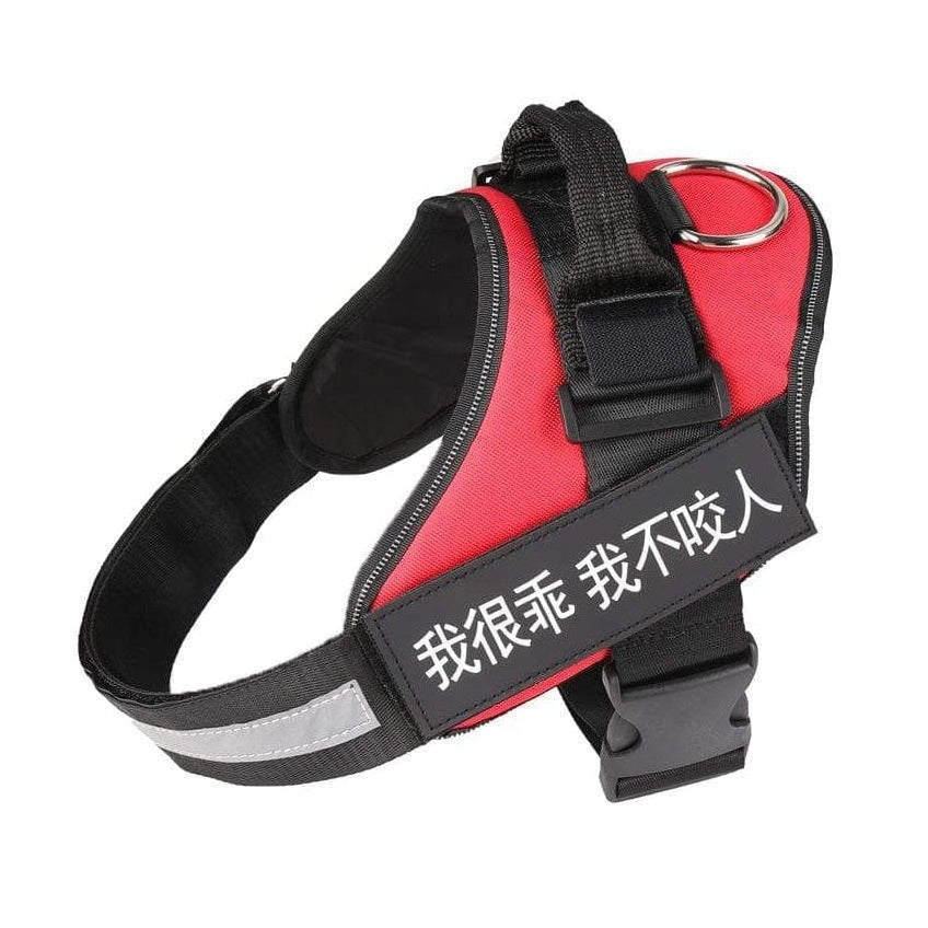 whatagift.com.au dog harness XXS / Red Personalized Custom Dog Harness | Dog Collar Name Safe Dog Harness