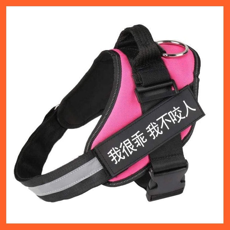 whatagift.com.au dog harness XXS / Rose red Personalised Custom Dog Harness | Dog Collar Name Safe Dog Harness