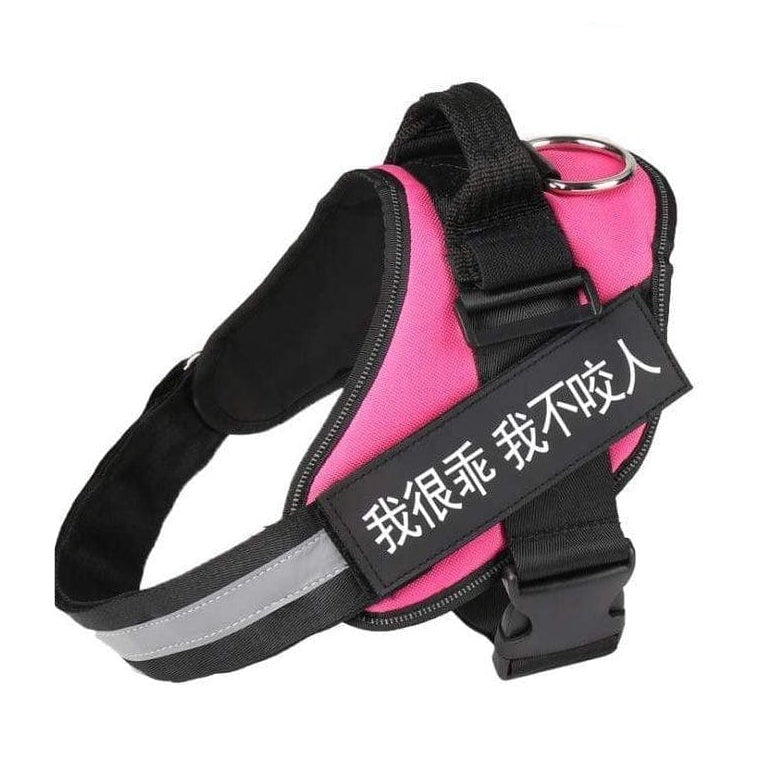 whatagift.com.au dog harness XXS / Rose red Personalized Custom Dog Harness | Dog Collar Name Safe Dog Harness