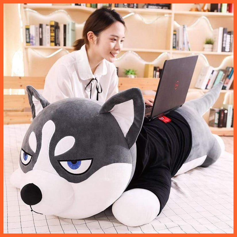 80Cm/100Cm Funny Dressed Husky Stuffed Dog Toy | Cute Animal Stuffed Husky Dog Soft Pillow | For Kids Girls Birthday Gifts | whatagift.com.au.