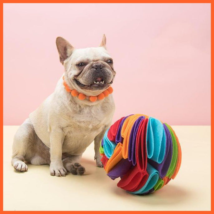 Dog Treat Ball | Fun Treat Ball For Dogs | whatagift.com.au.