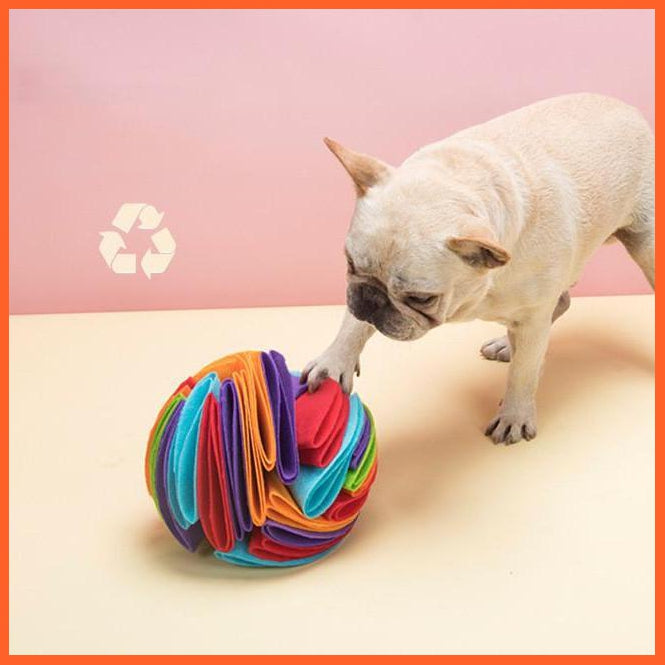 Dog Treat Ball | Fun Treat Ball For Dogs | whatagift.com.au.