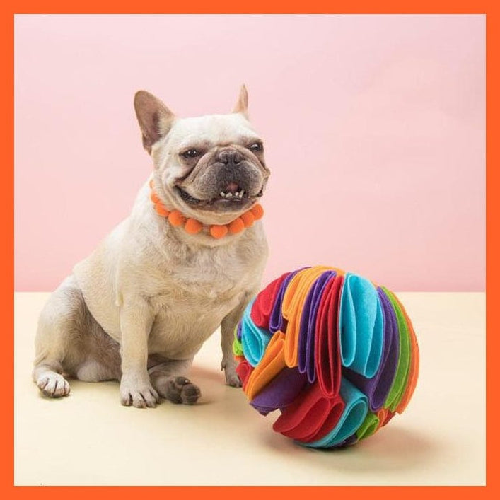 whatagift.com.au Dog Treat Dog Treat Ball | Fun Treat Ball For Dogs