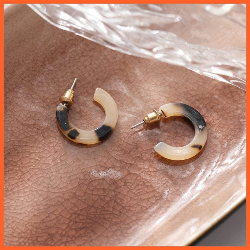 Fashion Leopard Acrylic Hoop Earrings For Women | Elegant Geometric Round Resin Hoop Earrings  Party Jewellery | whatagift.com.au.