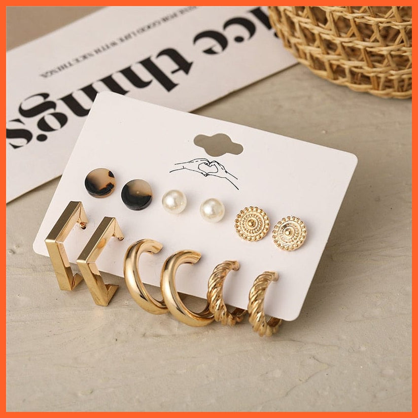 Fashion Leopard Acrylic Hoop Earrings Set For Women | Geometirc Gold Metal Hoop Earrings Trendy Jewellery Party Gifts | whatagift.com.au.