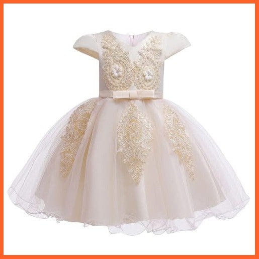 whatagift.com.au Flower Party Tutu Baby Girl Dress | Princess Ball Gown Birthday Dresses