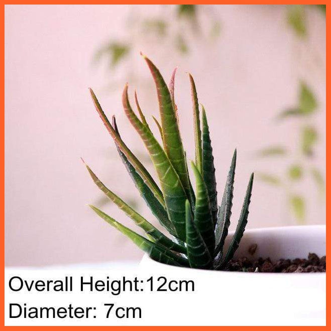 Mini Artificial Succulent Plants | whatagift.com.au.