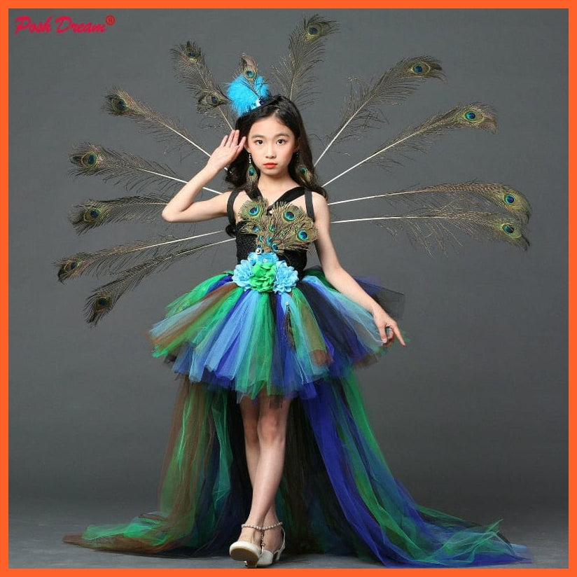 whatagift.com.au Kids Dresses Halloween Girl Peacock Flower Party Tutu Dresses | Train Tulle Peacock Princess