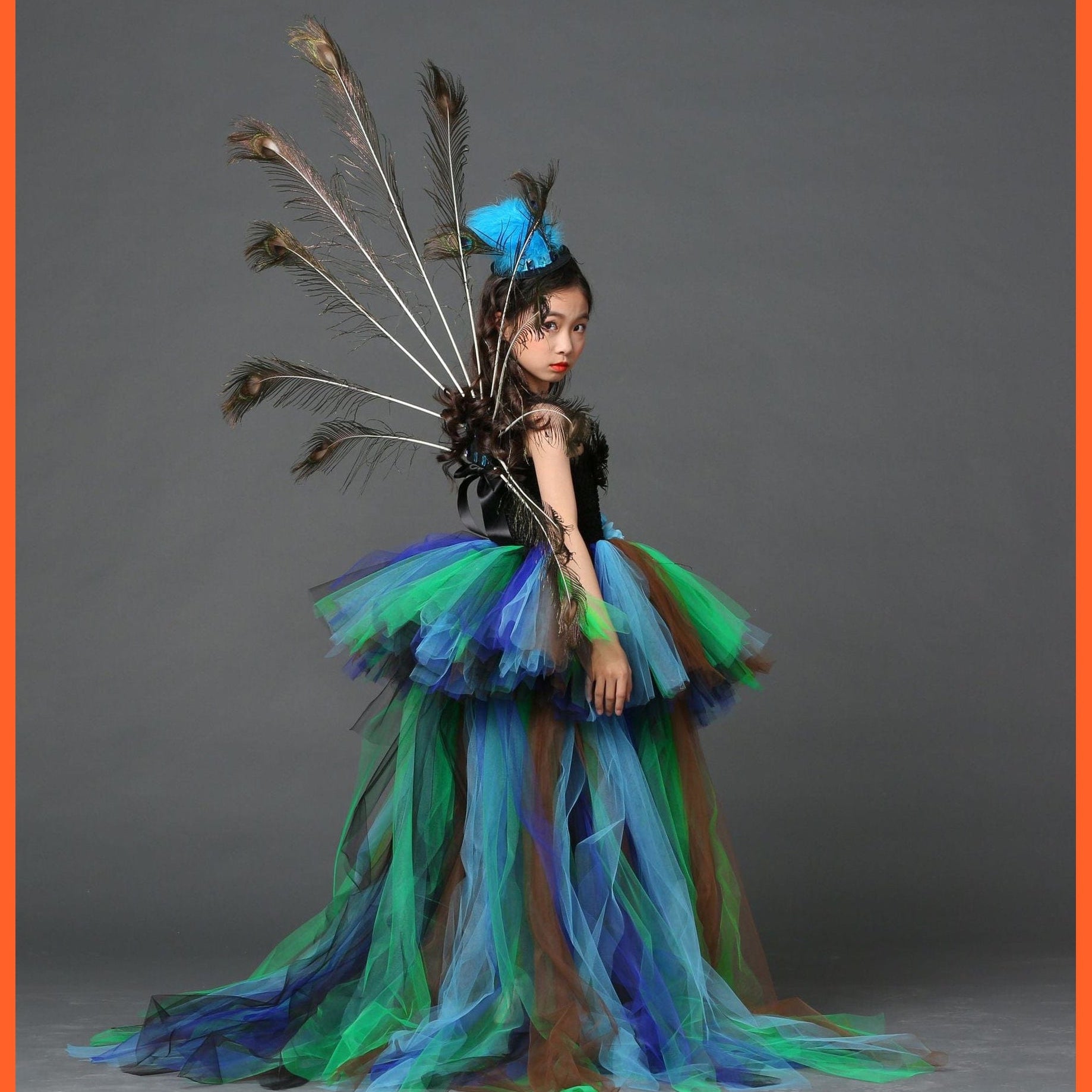 whatagift.com.au Kids Dresses Halloween Girl Peacock Flower Party Tutu Dresses | Train Tulle Peacock Princess