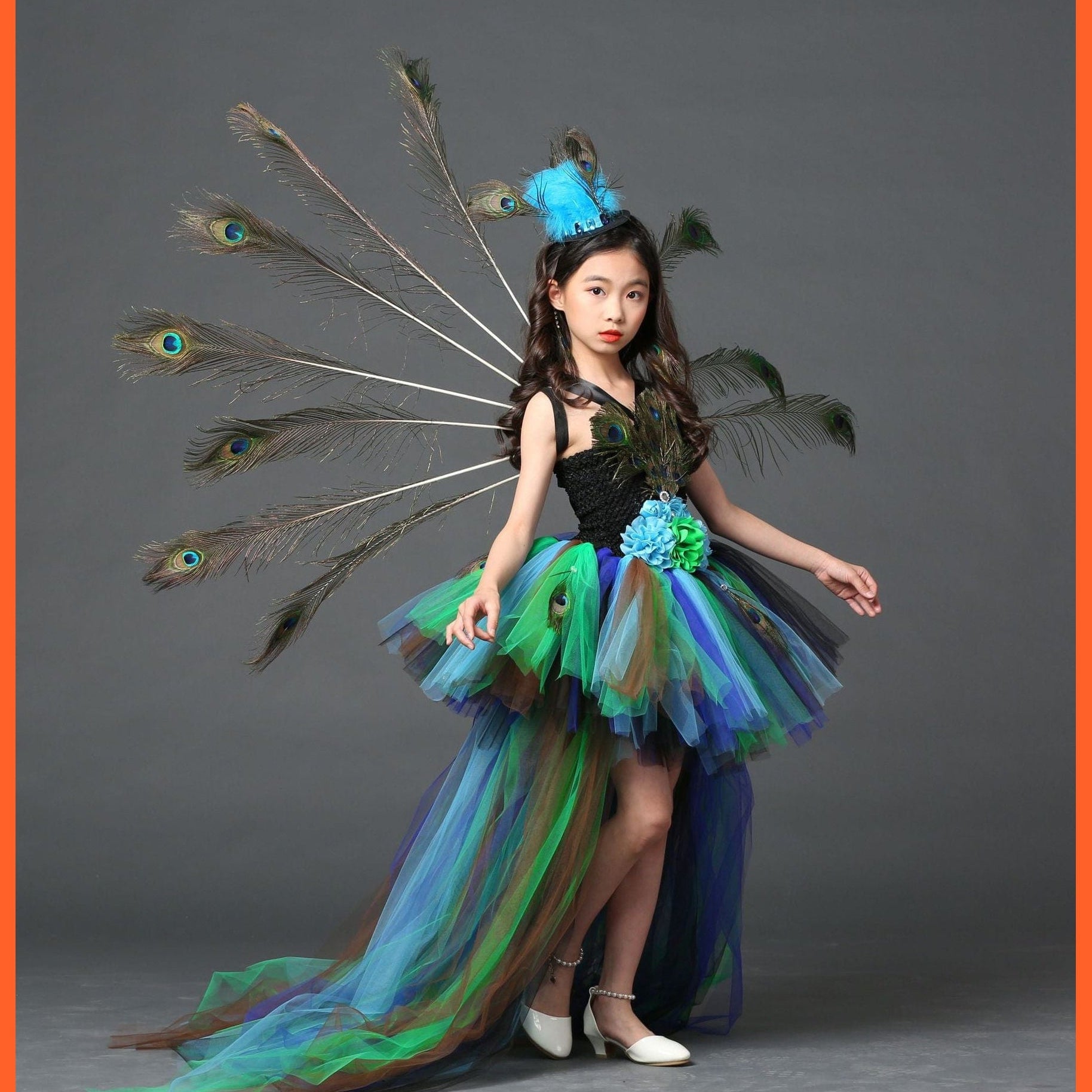 whatagift.com.au Kids Dresses Halloween Girl Peacock Flower Party Tutu Dresses | Train Tulle Peacock Princess