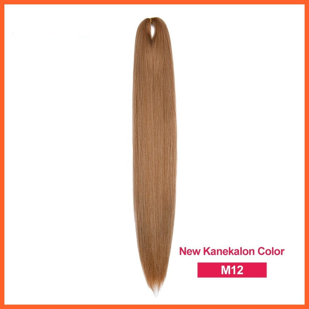 whatagift.com.au M12 / 22inches / 1Pcs/Lot Synthetic 22 Inch 60G Kanekalon Hair Jumbo Braid | Yaki Straight Hair Extension Pink Blonde Twist