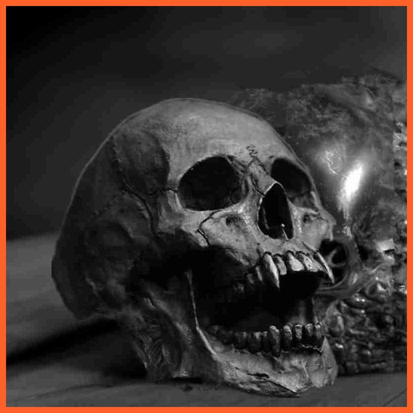 Old Vintage Vampire Skull Open Jaw Rings | Mens Skull Biker Rock Roll Gothic Boy Punk Jewelry Ring | whatagift.com.au.