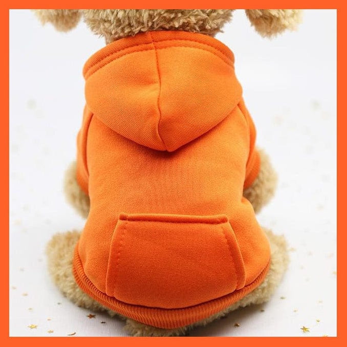 whatagift.com.au Orange / XS Cat Hoodie Winter Warm Jacket