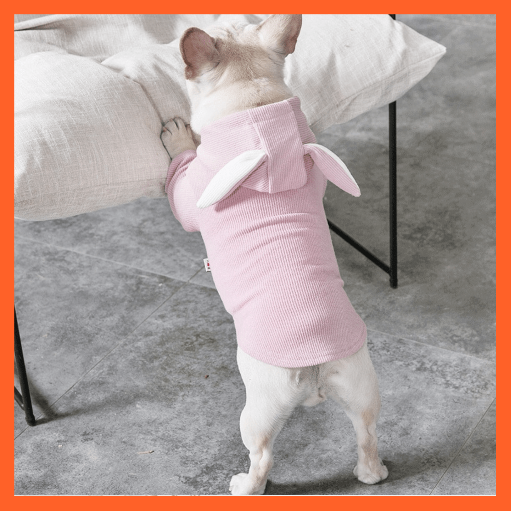 whatagift.com.au Pet Clothes Dog Pet Clothes Spring And Autumn Clothing