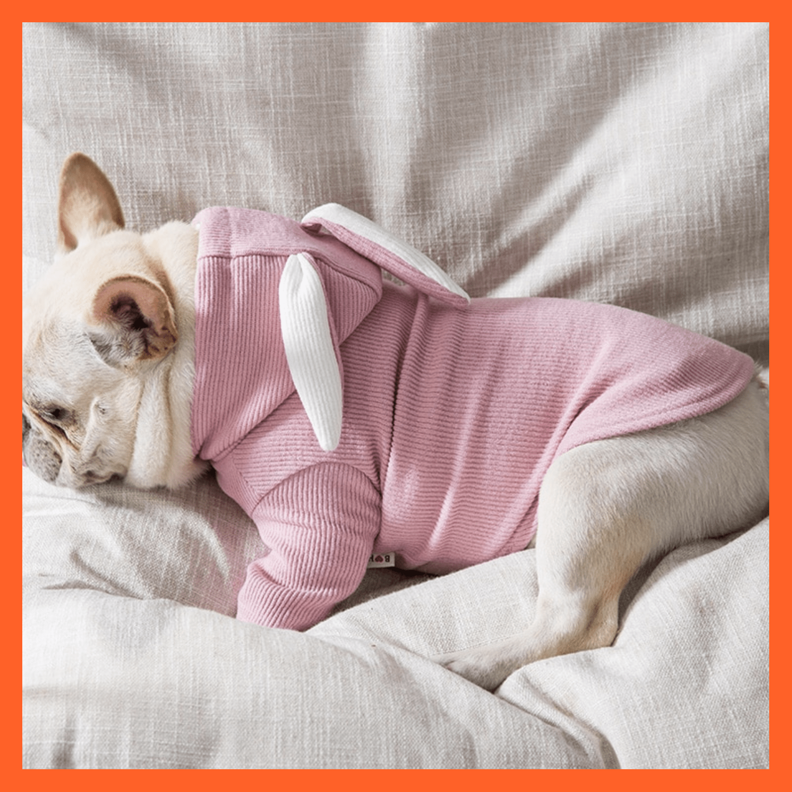 whatagift.com.au Pet Clothes Dog Pet Clothes Spring And Autumn Clothing