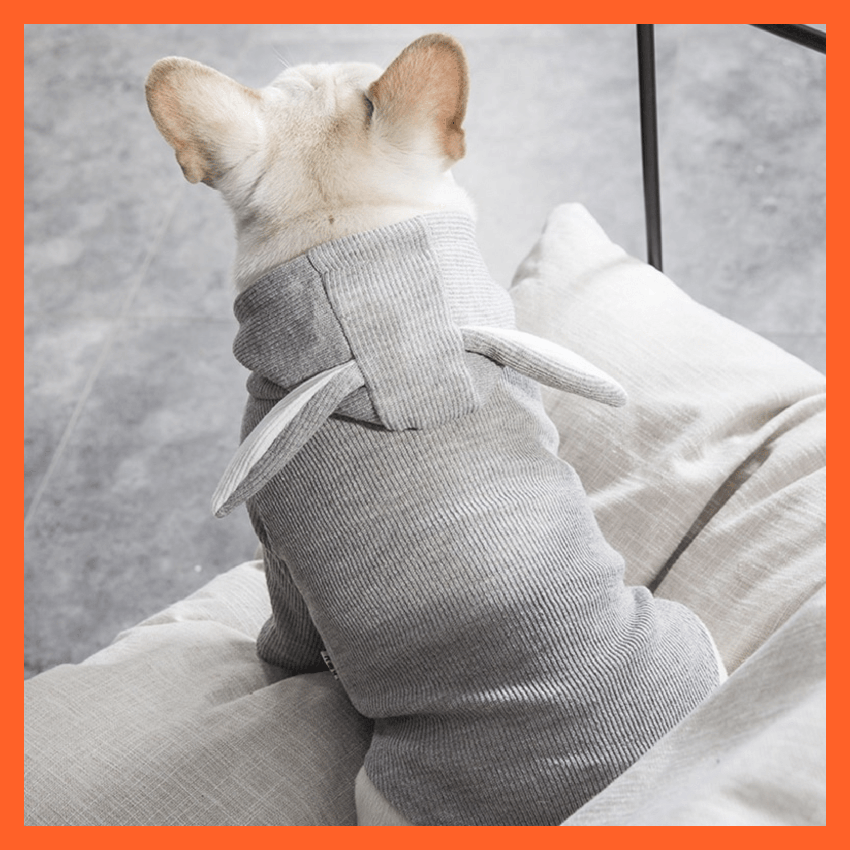 whatagift.com.au Pet Clothes Dog Pet Clothes Spring And Autumn Clothing