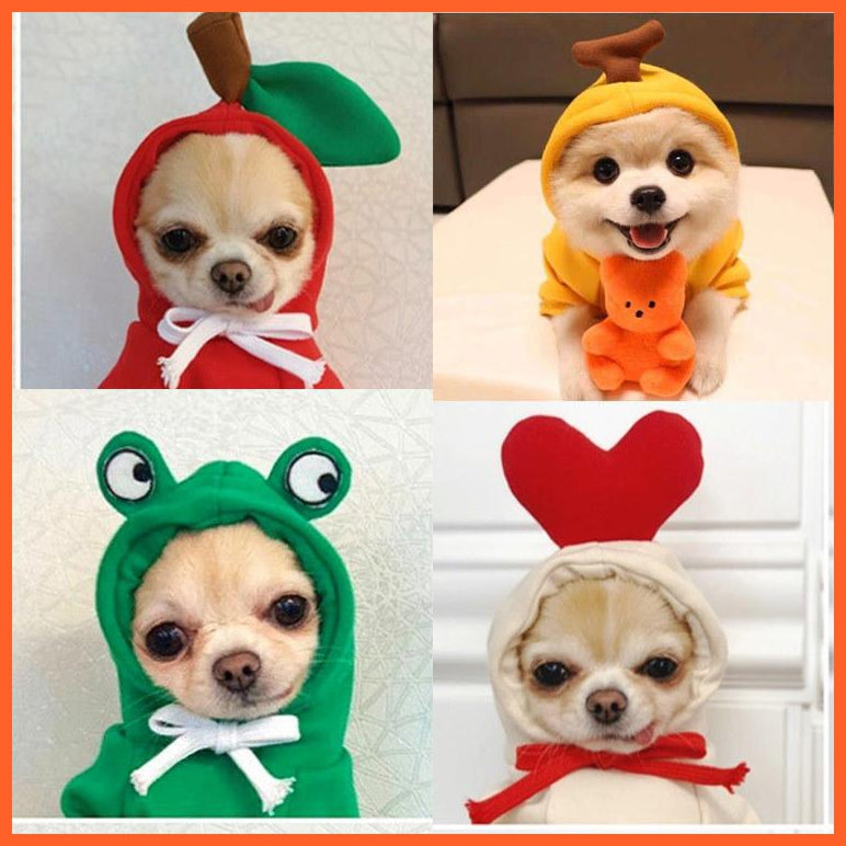 Fun Fruity Clothes For Dogs And Cats | Cute Pet Animals | whatagift.com.au.