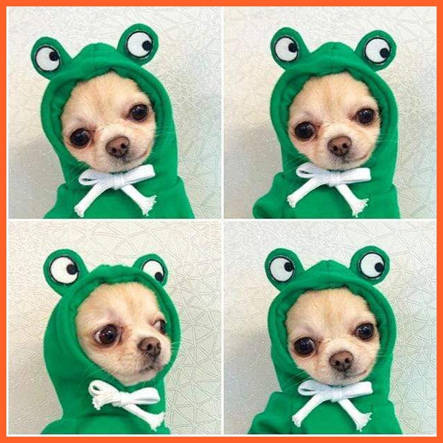 Fun Fruity Clothes For Dogs And Cats | Cute Pet Animals | whatagift.com.au.