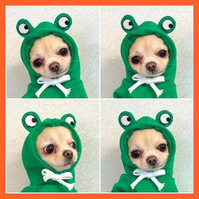 whatagift.com.au Pet Clothes Green / XS Fun Fruity Clothes For Dogs And Cats | Cute Pet Animals