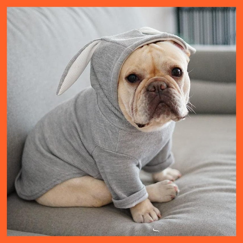 whatagift.com.au Pet Clothes Light Grey / L Dog Pet Clothes Spring And Autumn Clothing