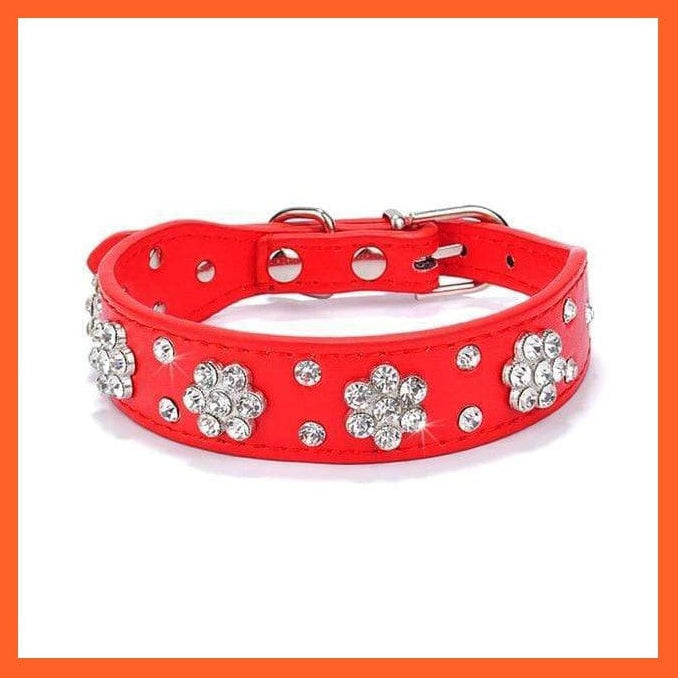 whatagift.com.au Pet Collars & Harnesses 068red / S Shiny Collars For Small Dogs And Cats