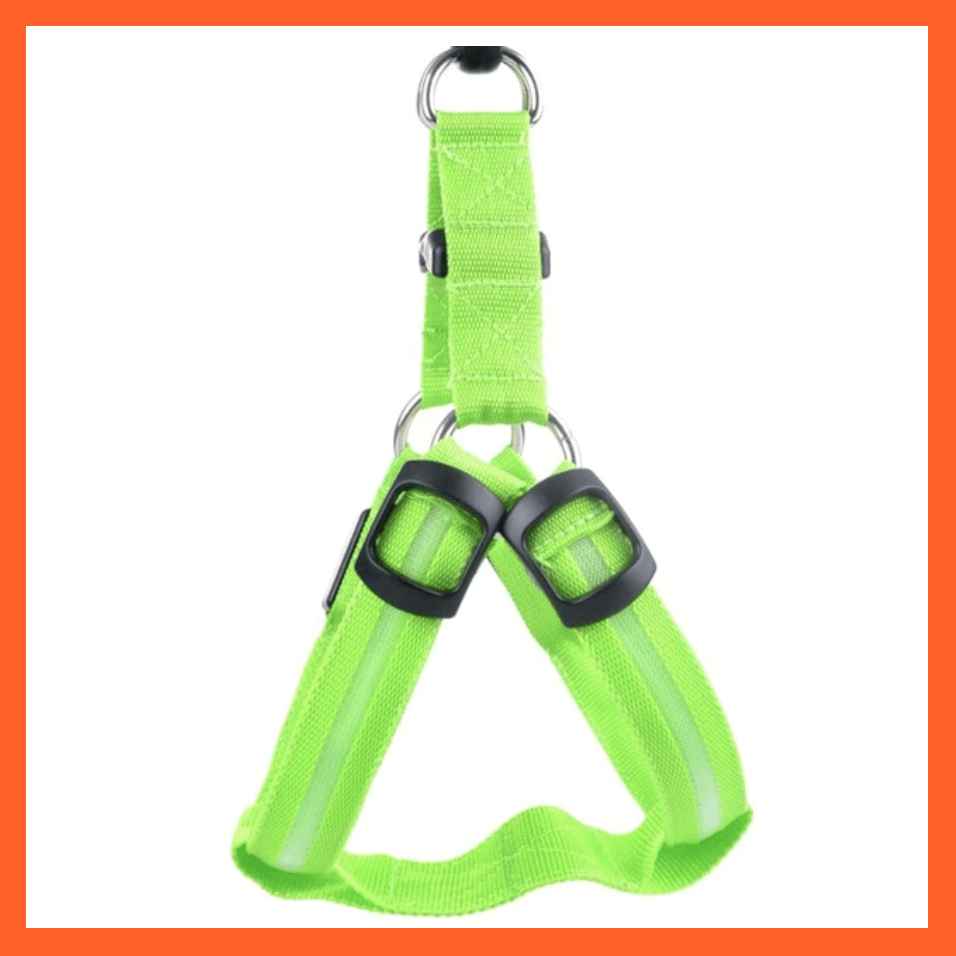 whatagift.com.au Pet Collars & Harnesses Green / L Led Light Up Harness Leash For Dogs | Leash And Collar For Dogs