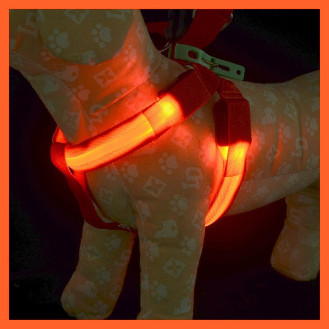 whatagift.com.au Pet Collars & Harnesses Led Light Up Harness Leash For Dogs | Leash And Collar For Dogs