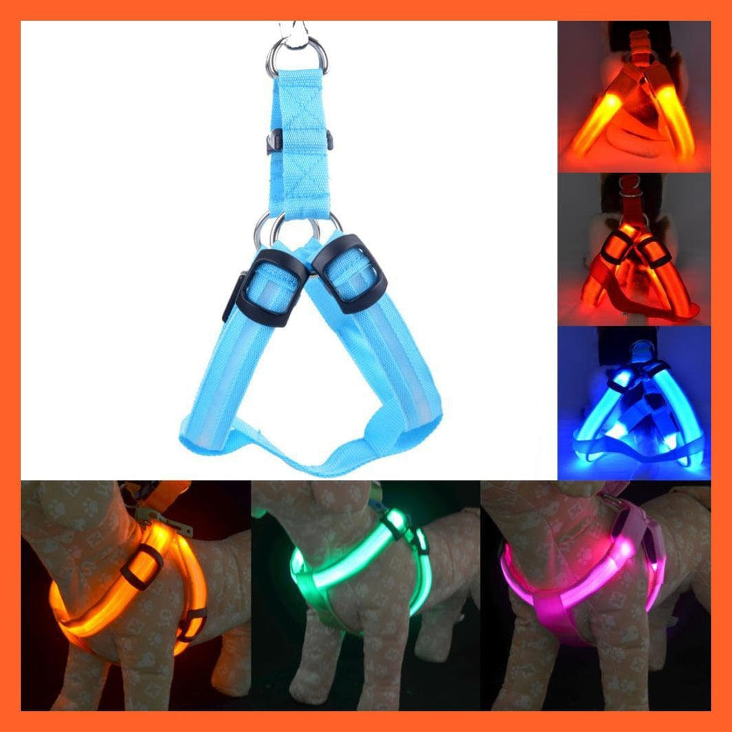 whatagift.com.au Pet Collars & Harnesses Led Light Up Harness Leash For Dogs | Leash And Collar For Dogs