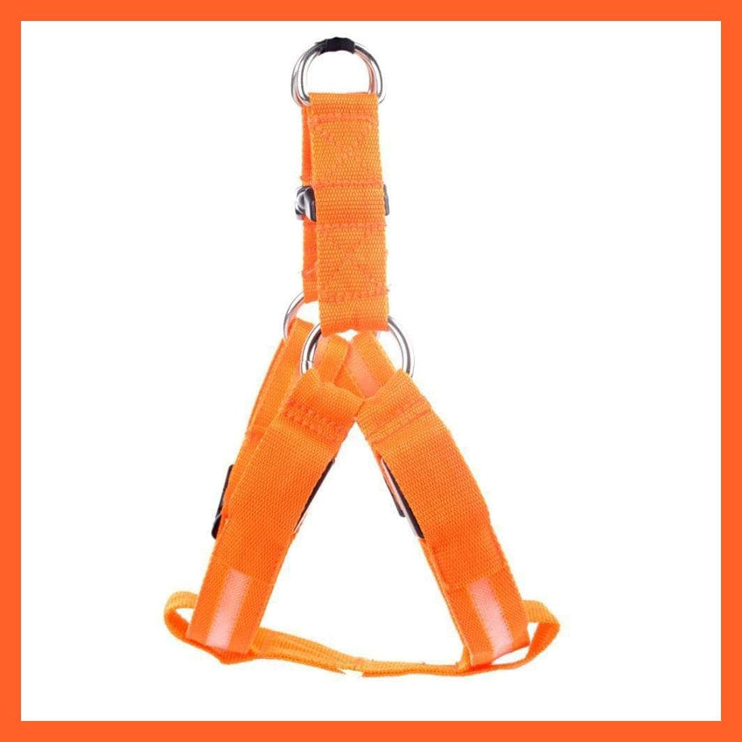whatagift.com.au Pet Collars & Harnesses Orange / XS Led Light Up Harness Leash For Dogs | Leash And Collar For Dogs