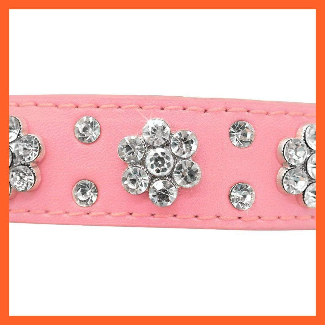 whatagift.com.au Pet Collars & Harnesses Shiny Collars For Small Dogs And Cats