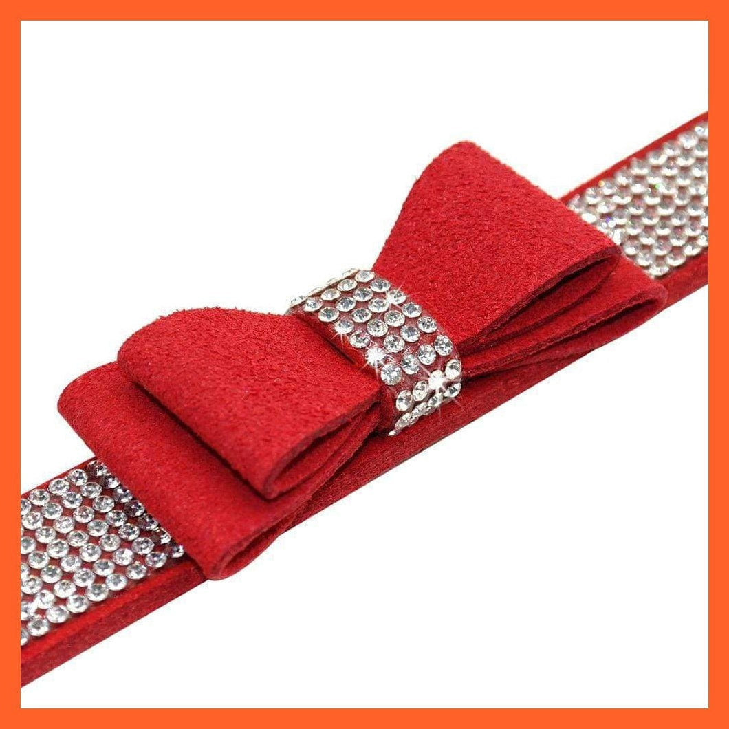 whatagift.com.au Pet Collars & Harnesses Shiny Collars For Small Dogs And Cats