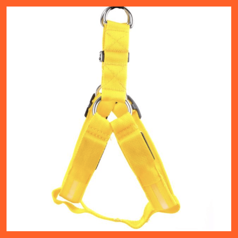 whatagift.com.au Pet Collars & Harnesses Yellow / XL Led Light Up Harness Leash For Dogs | Leash And Collar For Dogs