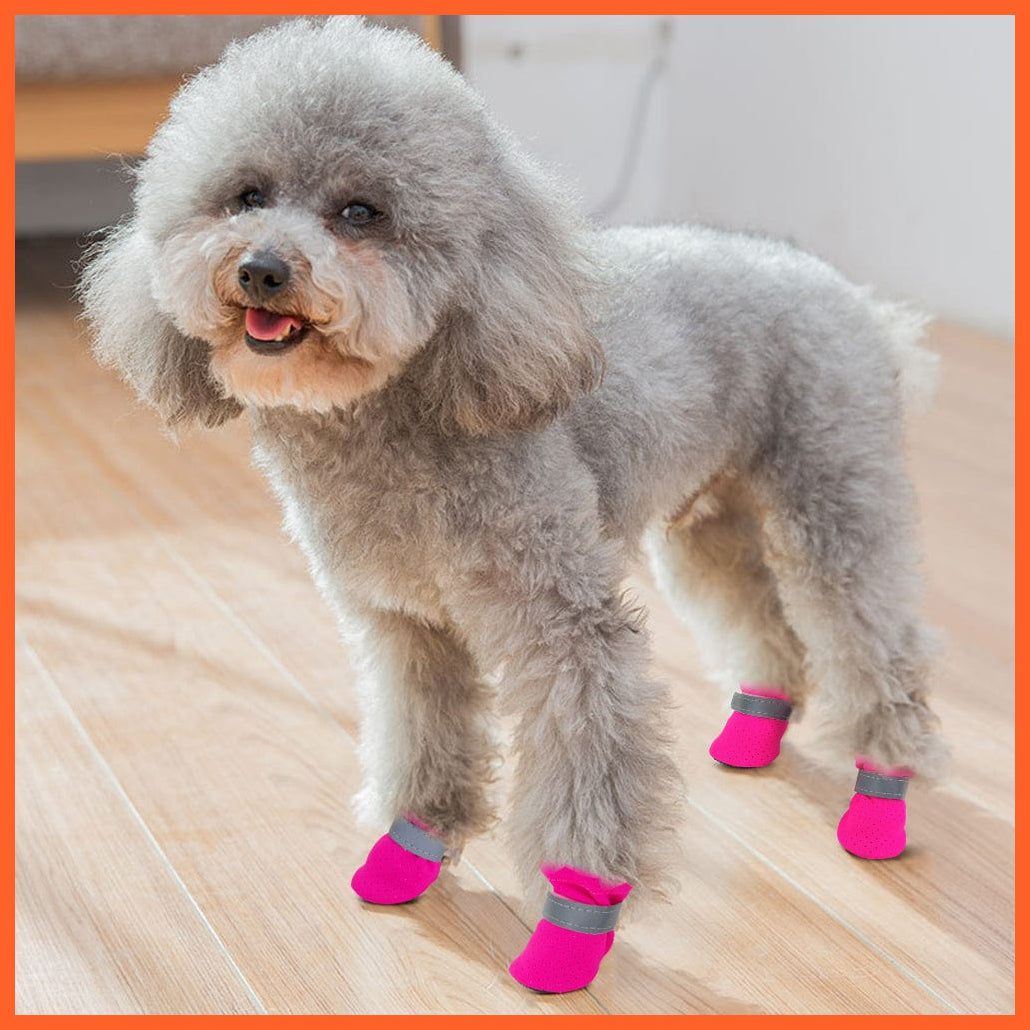 whatagift.com.au Pet Shoes 4pcs/set Pet Anti-Slip Small Dog Shoes | Cute Reflective Spring Summer Pet Shoes