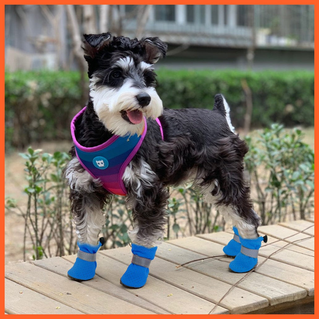whatagift.com.au Pet Shoes 4pcs/set Pet Anti-Slip Small Dog Shoes | Cute Reflective Spring Summer Pet Shoes
